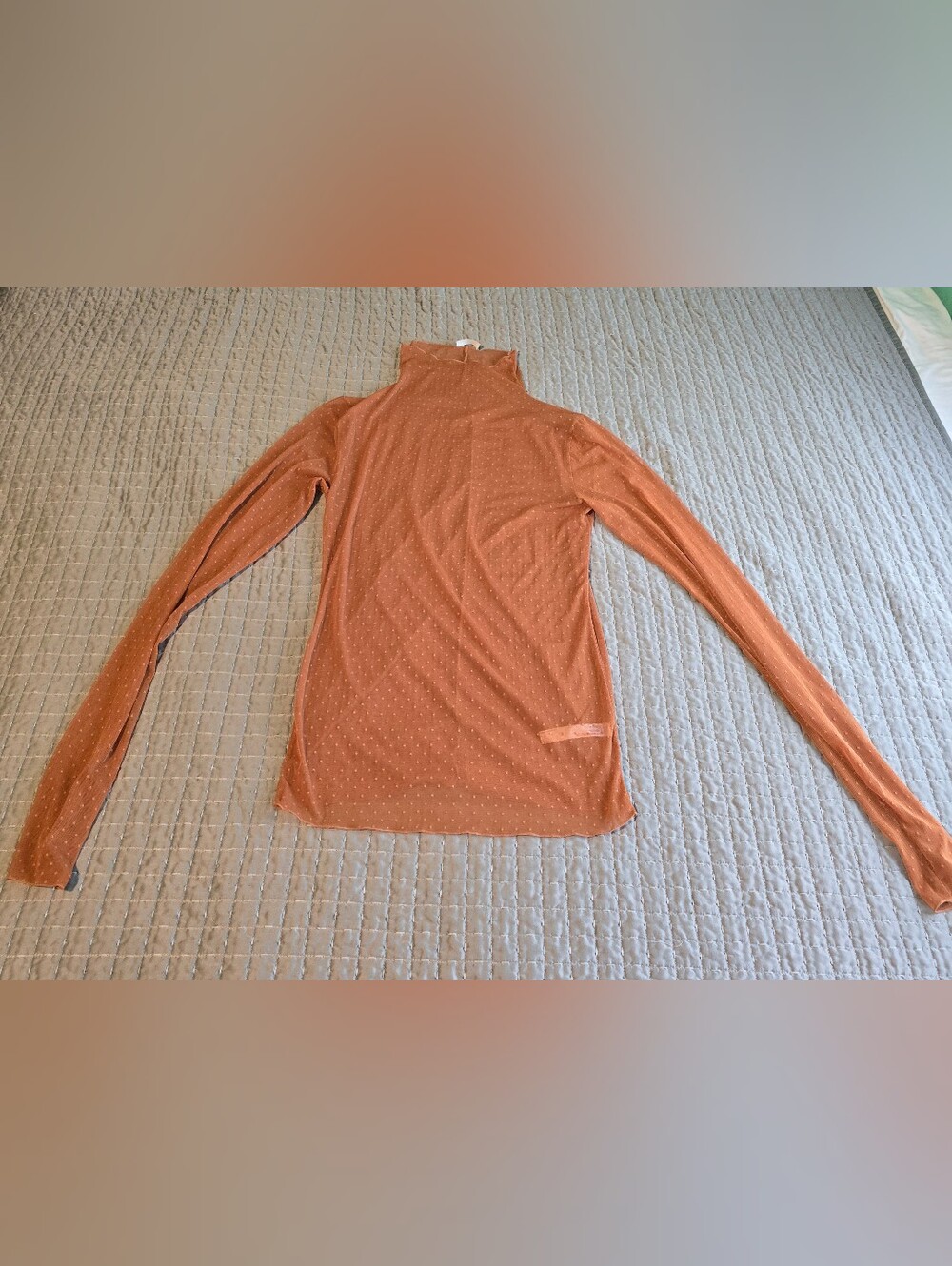 Rust Orange Sheer Long Sleeve Mock Neck Top